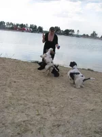 IMG_7122.webp