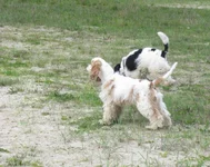 IMG_7139.webp