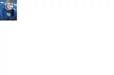 .webp