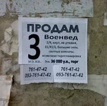 3805.webp
