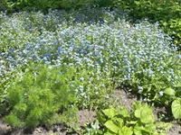 CIMG0990.webp