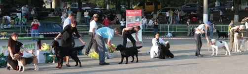 IMG_4420.webp