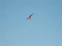 CIMG0755.webp