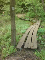 DSC01148.webp