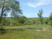 DSC01173.webp