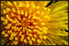DSC05341.webp