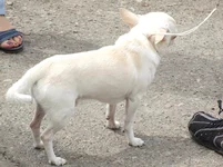 9.05 016.webp