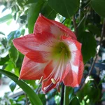 P1090320 1.webp
