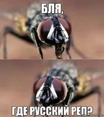 -Где-русский-рэп-92420.webp