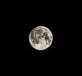 DSC01502-HDR_crop_724x667.webp