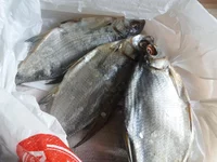 20190223_114227.webp