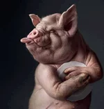  свин.webp