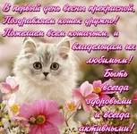 140900066_5R.jpg