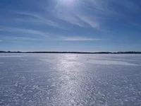 20190303_112354.webp