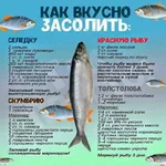  рыбы.webp