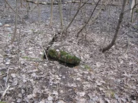 IMG_0441.webp