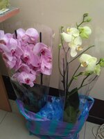 IMG_2019-03-06_143222.jpg