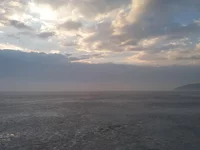 20190310_065017.webp