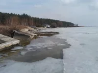 20190310_124736.jpg