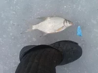 20190310_112020.jpg