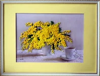 48.webp