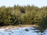 CIMG0406+.webp