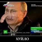  названия.webp