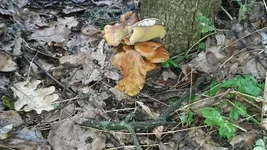 20190317_100655.webp