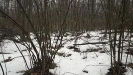 20190317_111950.webp