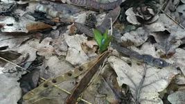 20190317_112458.webp