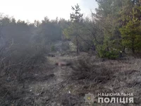 гол.jpg