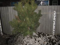 IMG_1149.webp