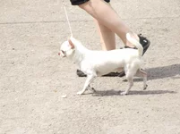 9.05 040.webp