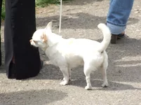 9.05 041.webp