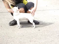 9.05 047.webp