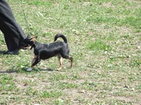 9.05 086.webp