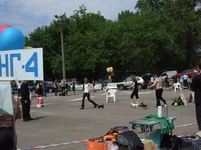 9.05 062.webp