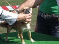 9.05 079.webp