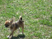 9.05 080.webp
