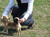 9.05 083.webp