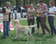 Копия P5093885.jpg