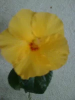  005.webp