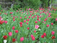 IMG_1655.webp
