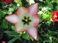IMG_1638.webp