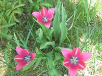 IMG_1640.webp