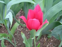 IMG_1660.webp