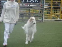 DSC02258.webp