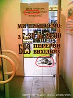 DogsNA.webp