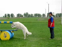 _bumabbi2.webp