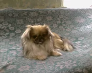 Photo-0039.webp